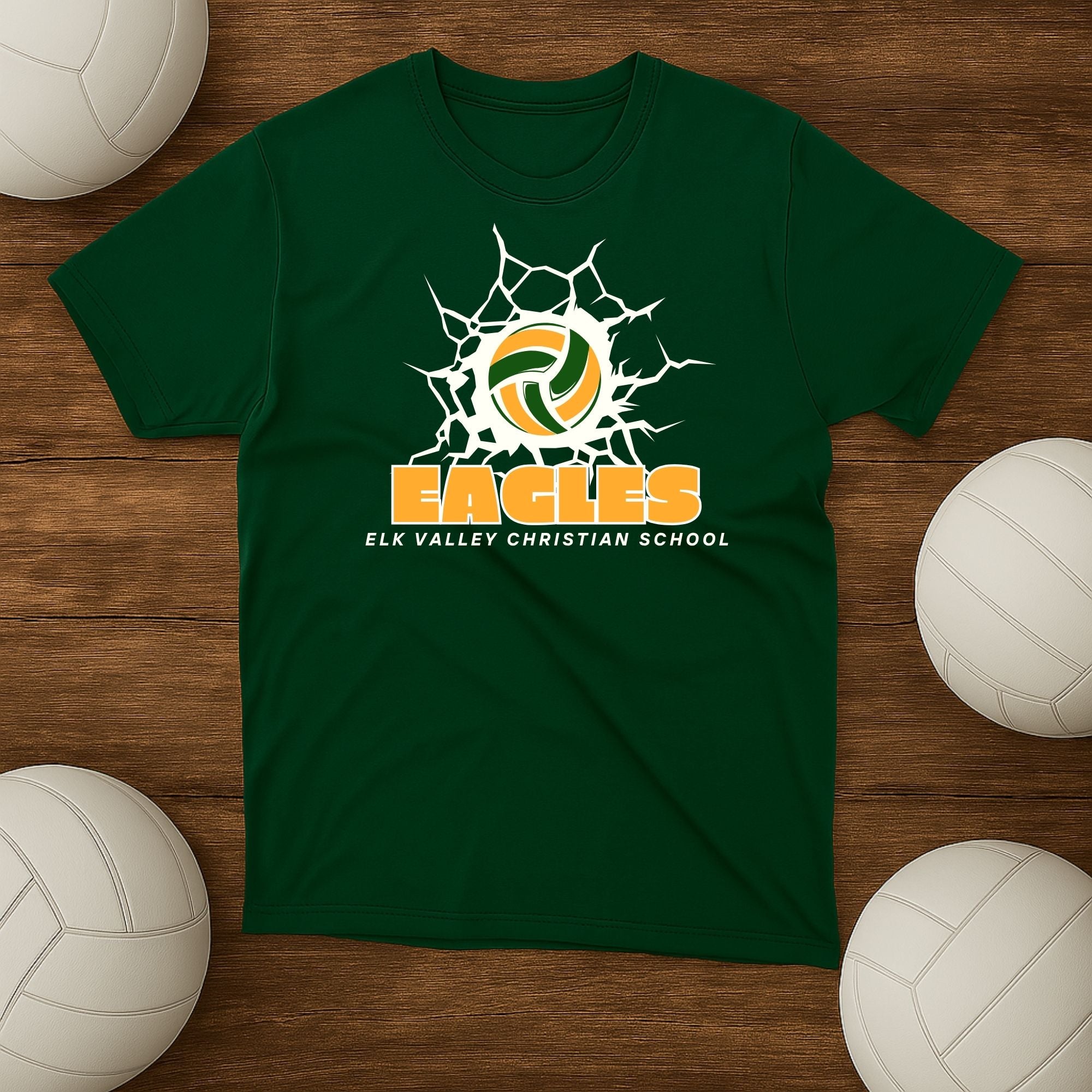 Electric EVCS Volleyball