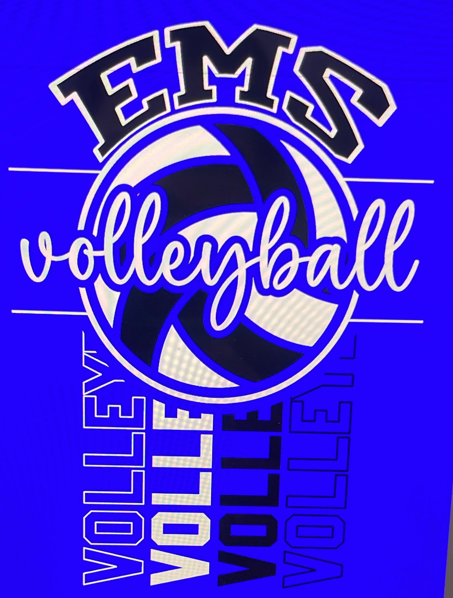 EMS Volleyball